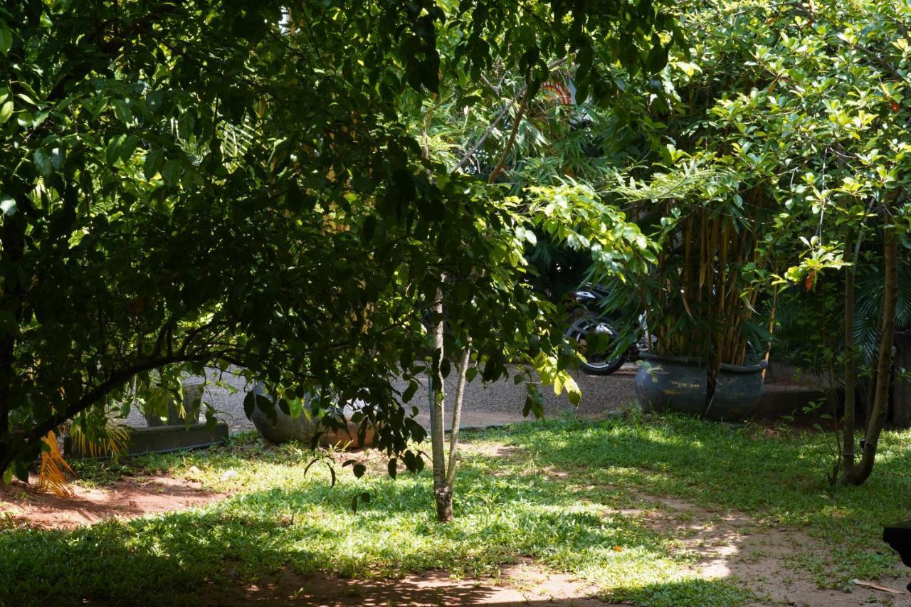 Sandra Guesthouse Dambulla Dış mekan fotoğraf